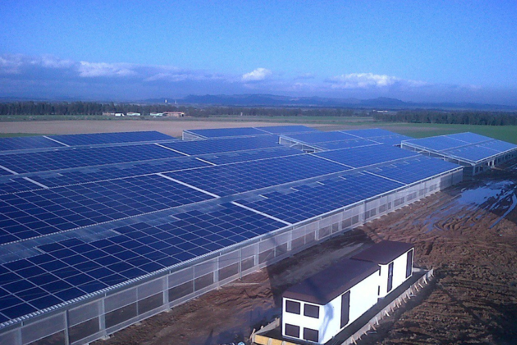Invernaderos Agrivoltaicos Novum Solar